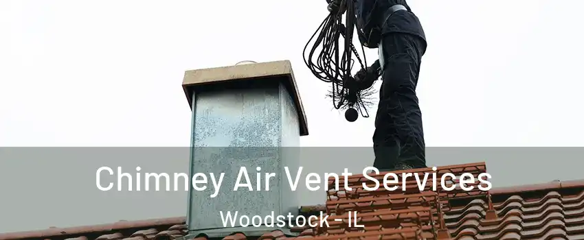  Chimney Air Vent Services Woodstock - IL