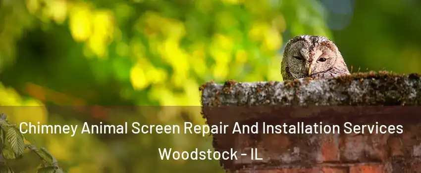  Chimney Animal Screen Repair And Installation Services Woodstock - IL