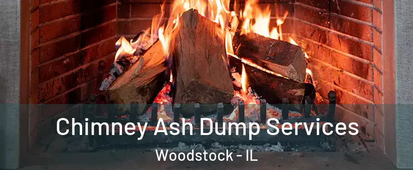  Chimney Ash Dump Services Woodstock - IL