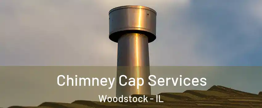  Chimney Cap Services Woodstock - IL