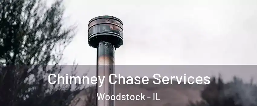  Chimney Chase Services Woodstock - IL