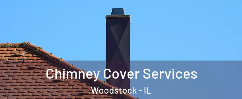  Chimney Cover Services Woodstock - IL