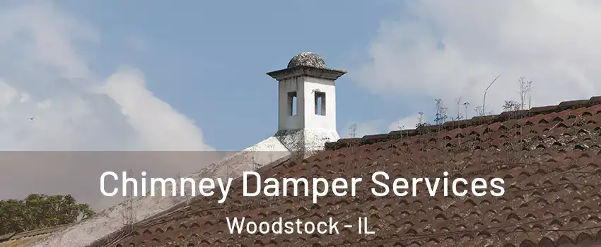 Chimney Damper Services Woodstock - IL