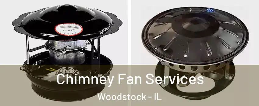  Chimney Fan Services Woodstock - IL