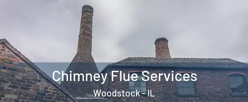  Chimney Flue Services Woodstock - IL