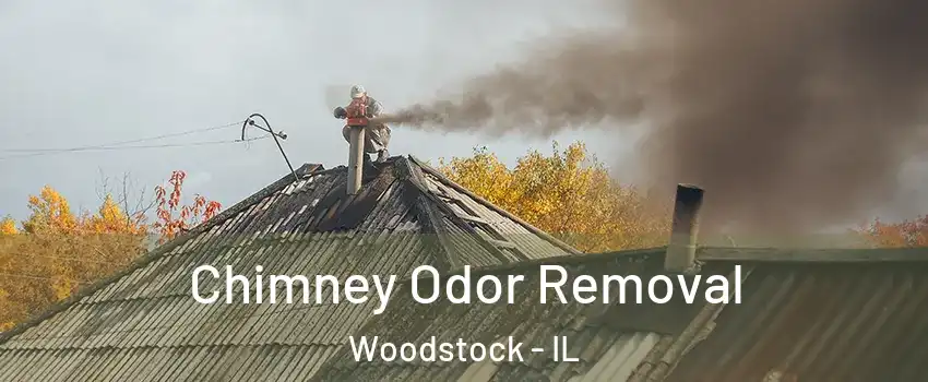  Chimney Odor Removal Woodstock - IL