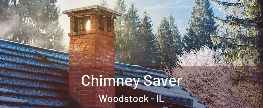  Chimney Saver Woodstock - IL
