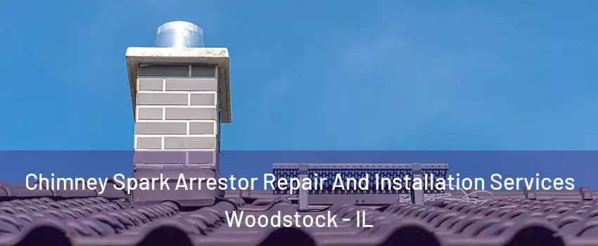  Chimney Spark Arrestor Repair And Installation Services Woodstock - IL