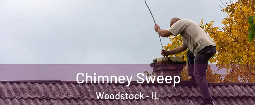  Chimney Sweep Woodstock - IL
