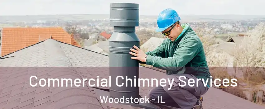  Commercial Chimney Services Woodstock - IL