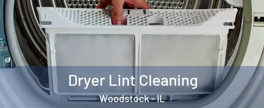  Dryer Lint Cleaning Woodstock - IL