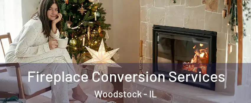  Fireplace Conversion Services Woodstock - IL