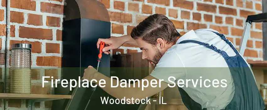  Fireplace Damper Services Woodstock - IL