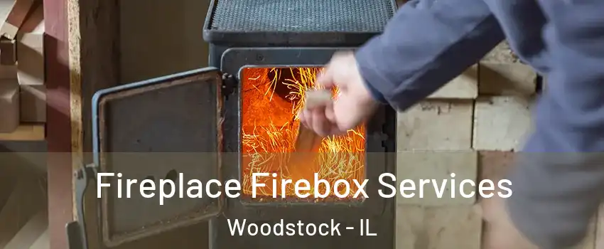  Fireplace Firebox Services Woodstock - IL