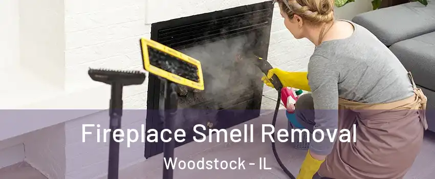  Fireplace Smell Removal Woodstock - IL