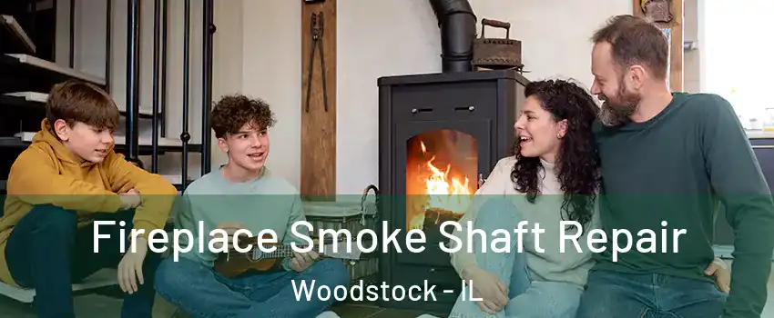  Fireplace Smoke Shaft Repair Woodstock - IL