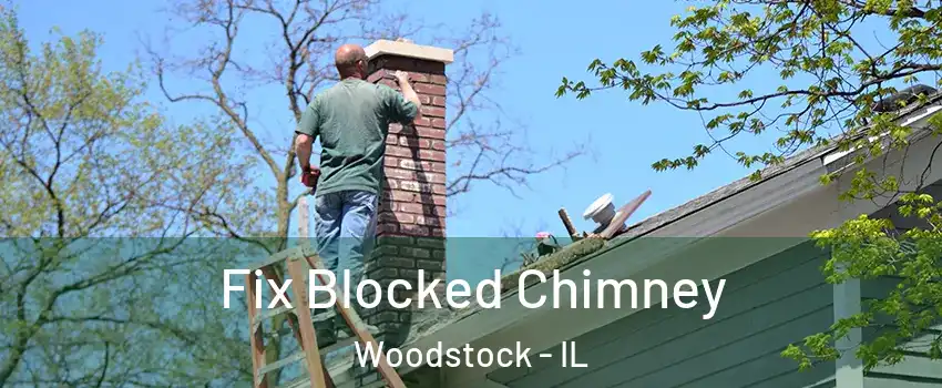  Fix Blocked Chimney Woodstock - IL
