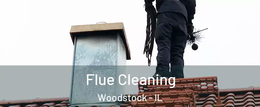  Flue Cleaning Woodstock - IL