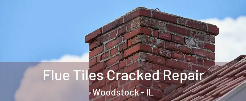  Flue Tiles Cracked Repair Woodstock - IL