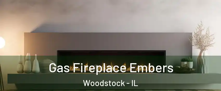  Gas Fireplace Embers Woodstock - IL