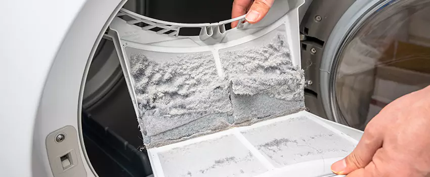 Best Dryer Lint Removal Company in Woodstock, Illinois