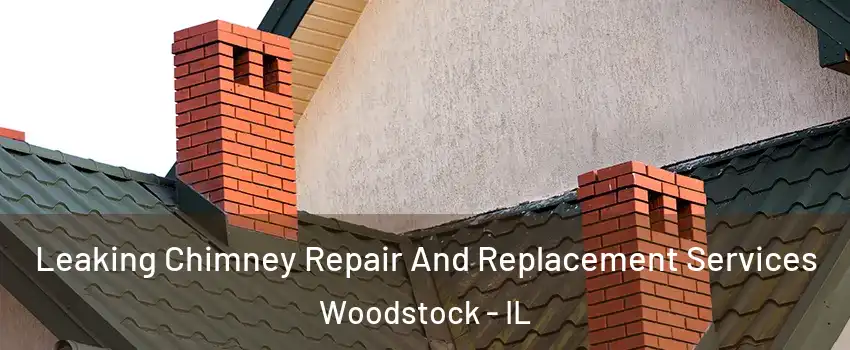  Leaking Chimney Repair And Replacement Services Woodstock - IL