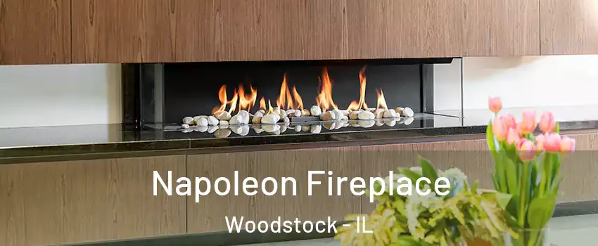 Napoleon Fireplace Woodstock - IL