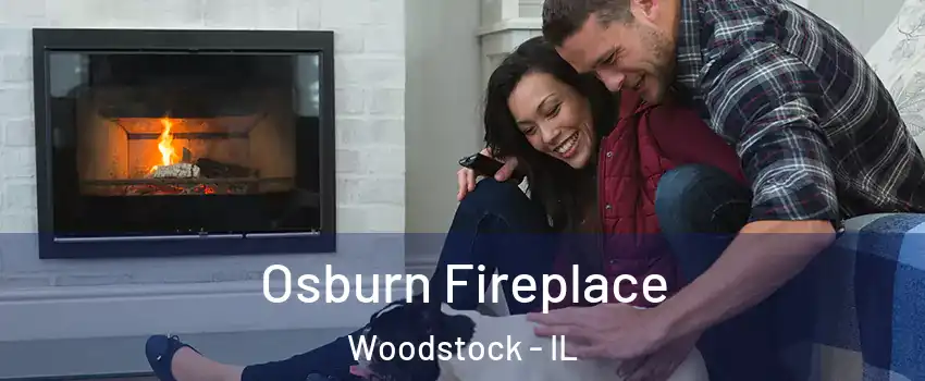  Osburn Fireplace Woodstock - IL