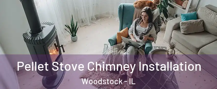  Pellet Stove Chimney Installation Woodstock - IL